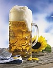 A sör segít megelõzni a csontritkulást 