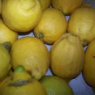 A citrom és jótékony hatásai