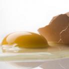 A tojássárgája káros hatása az érrendszerre