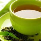 A kávécserje levelébõl készült tea jótékony hatással bír az egészségre