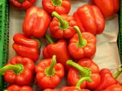 Paprika - A magyar konyha egyik alapvetõ zöldség­növénye