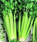 Egyik legegészségesebb zöldségünk: a zeller