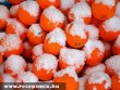 Behavazott narancs